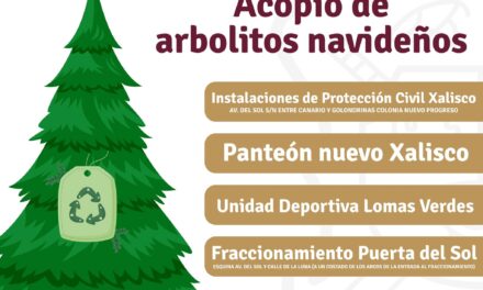 CENTROS DE ACOPIO PARA ÁRBOLES NAVIDEÑOS