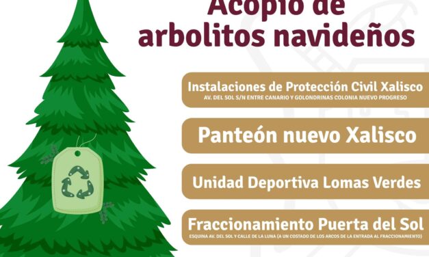 CENTROS DE ACOPIO PARA ÁRBOLES NAVIDEÑOS