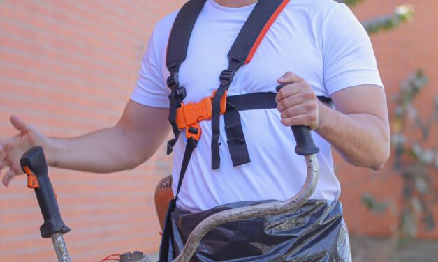 HÉCTOR SANTANA ARRANCA EL AÑO CON EL “LIMPIATÓN” EN BAHÍA DE BANDERAS