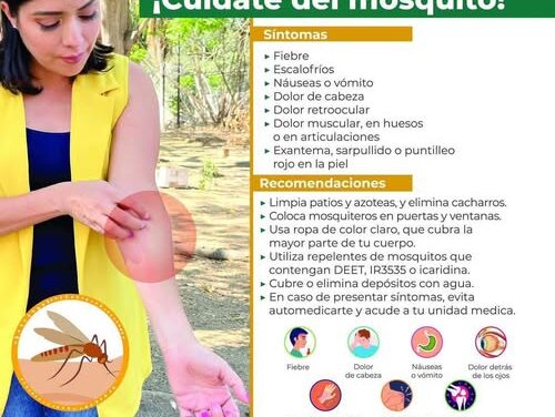 TODOS CONTRA EL DENGUE: PREVENCIÓN Y CUIDADO