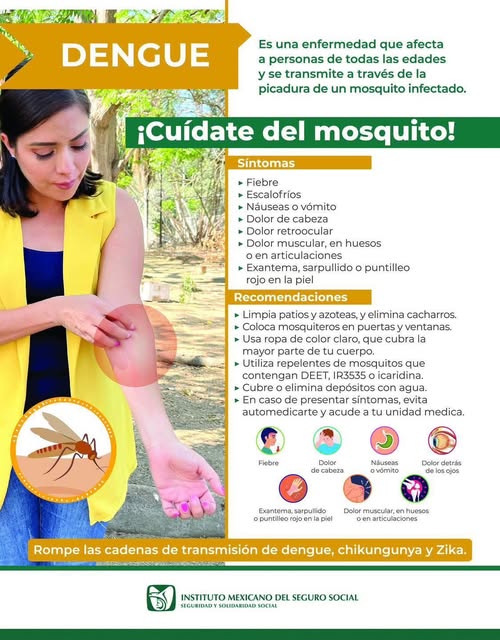 TODOS CONTRA EL DENGUE: PREVENCIÓN Y CUIDADO
