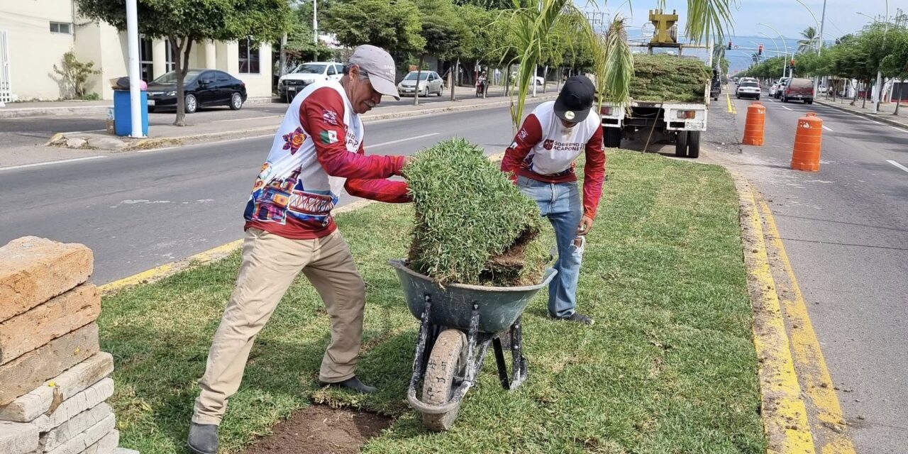 ACAPONETA MEJORA IMAGEN URBANA DEL BOULEVARD DE ACCESO