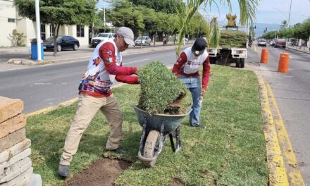 ACAPONETA MEJORA IMAGEN URBANA DEL BOULEVARD DE ACCESO