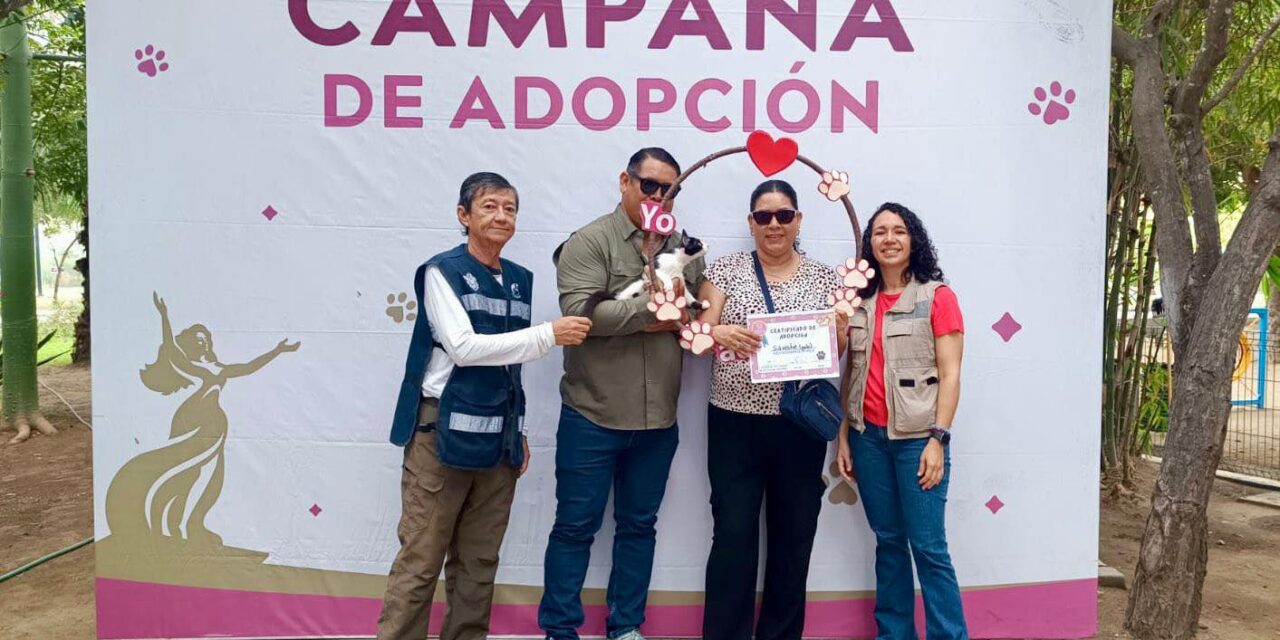 HUELLITAS DEL BIENESTAR ARRANCA EL AÑO CON ADOPCIONES Y ESTERILIZACIONES