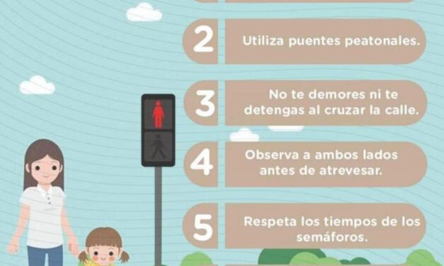 CONSEJOS DE SEGURIDAD VIAL PARA PEATONES
