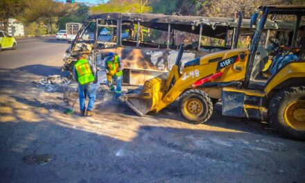 REFUERZA SERVICIOS EFICIENTES LABORES DE LIMPIEZA EN PUERTO VALLARTA