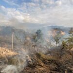 Atiende Protección Civil incendio en pastizal
