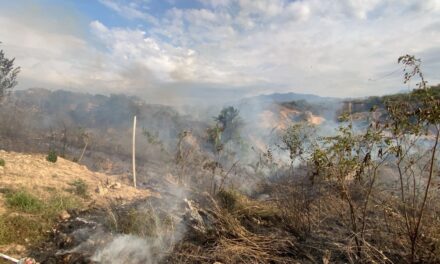 Atiende Protección Civil incendio en pastizal