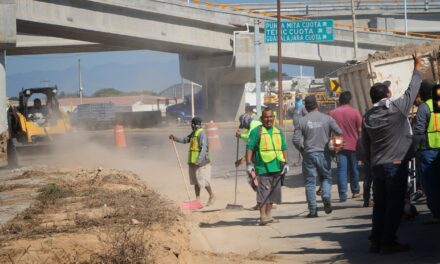Rehabilitan camellones en la zona norte de Puerto Vallarta