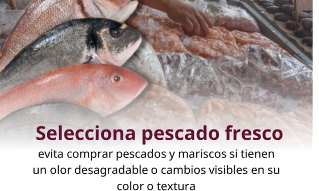 ¡ALERTA SANITARIA EN CUARESMA! COESPRISNAY LLAMA A EXTREMAR PRECAUCIONES EN EL CONSUMO DE MARISCOS