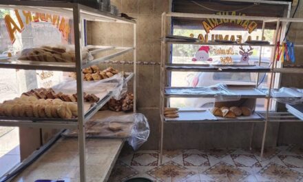 VERIFICACIÓN SANITARIA EN PANADERÍAS Y PASTELERÍAS PARA PROTEGER LA SALUD EN ACAPONETA