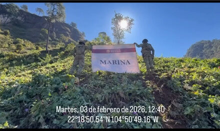 Avances relevantes en seguridad tras sesión de la Mesa Estatal para la Paz