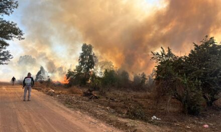 RESPUESTA OPORTUNA ANTE INCENDIO DE PASTIZAL EN ACAPONETA