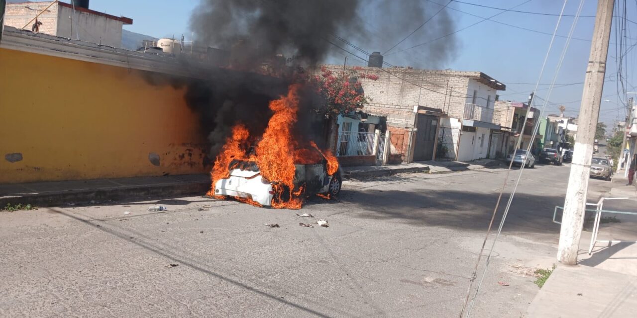 Oportuna respuesta de la SSPC logra aseguramiento de masculino en Tepic