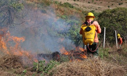 REALIZARÁN QUEMA PREVENTIVA CONTROLADA EN EL CERRO DE SAN JUAN