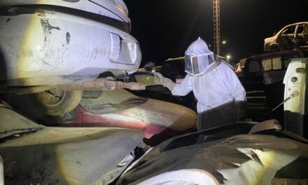 ATIENDEN EMERGENCIA POR ENJAMBRE DE ABEJAS EN IXTAPA Y RESCATAN A DOS PERSONAS