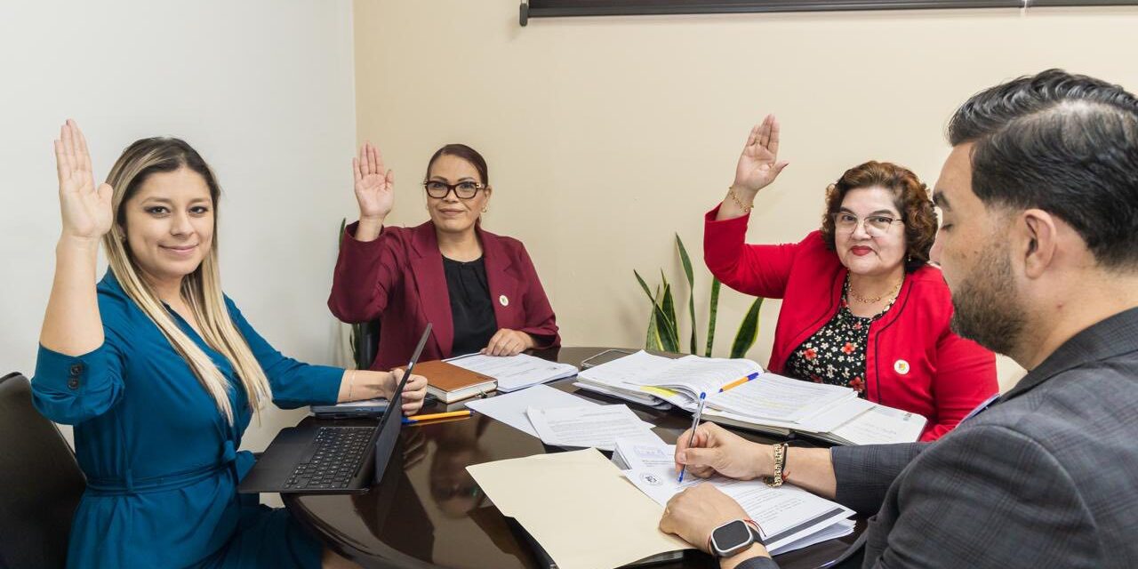 APRUEBAN PROGRAMA DE CAPACITACIÓN PARA IMPLEMENTAR EL CÓDIGO NACIONAL DE PROCEDIMIENTOS CIVILES Y FAMILIARES