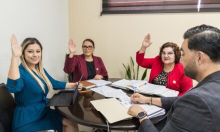 APRUEBAN PROGRAMA DE CAPACITACIÓN PARA IMPLEMENTAR EL CÓDIGO NACIONAL DE PROCEDIMIENTOS CIVILES Y FAMILIARES