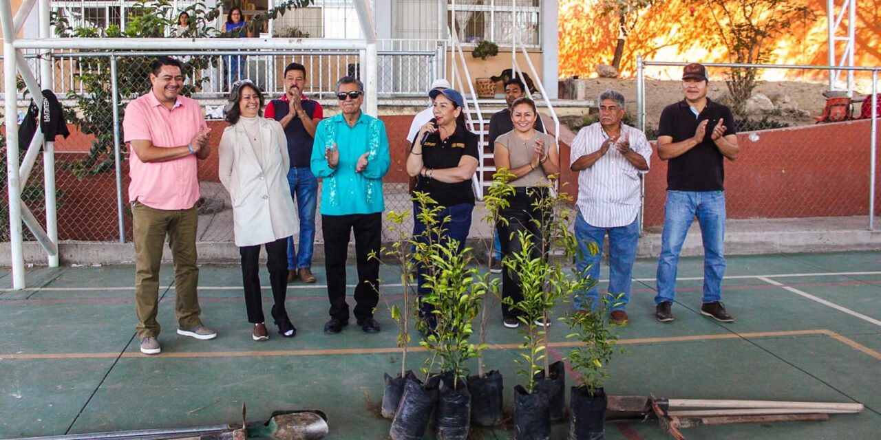 IMPULSAN REFORESTACIÓN ESCOLAR CON ENTREGA DE ÁRBOLES FRUTALES EN XALISCO