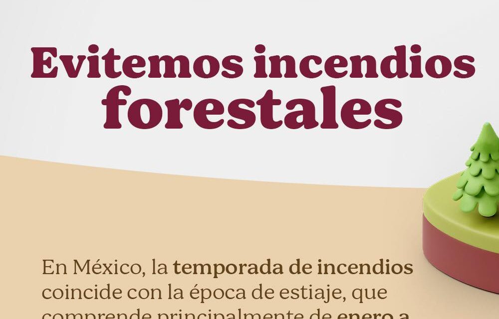 PEQUEÑAS ACCIONES PARA PREVENIR GRANDES INCENDIOS FORESTALES