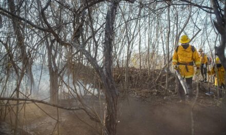 BRIGADA INTERINSTITUCIONAL REFUERZA LABORES PARA SOFOCAR INCENDIO EN LA CRUZ DE HUANACAXTLE