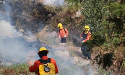 ⚠️ AVISO IMPORTANTE ⚠️