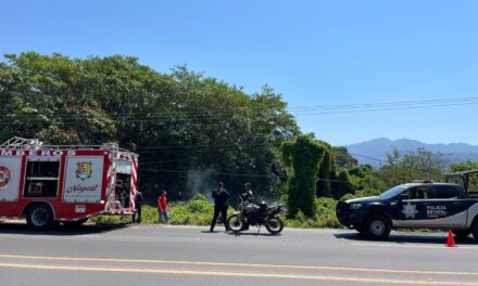 BOMBEROS SOFOCAN INCENDIO EN RINCÓN DE GUAYABITOS Y EVITAN AFECTACIONES MAYORES