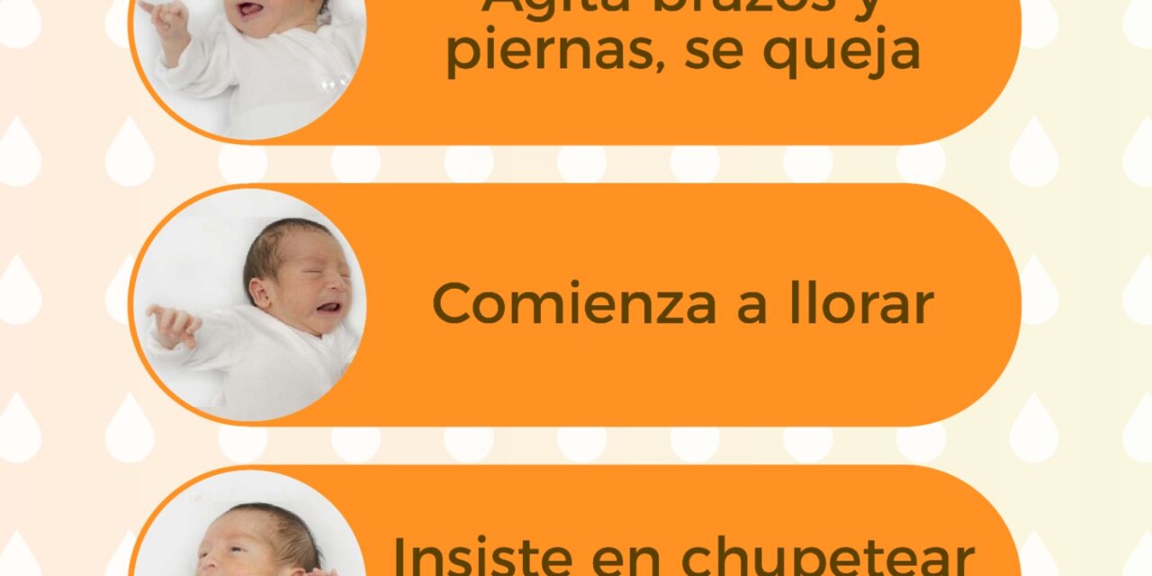 LA LACTANCIA MATERNA, CLAVE PARA UN DESARROLLO SALUDABLE