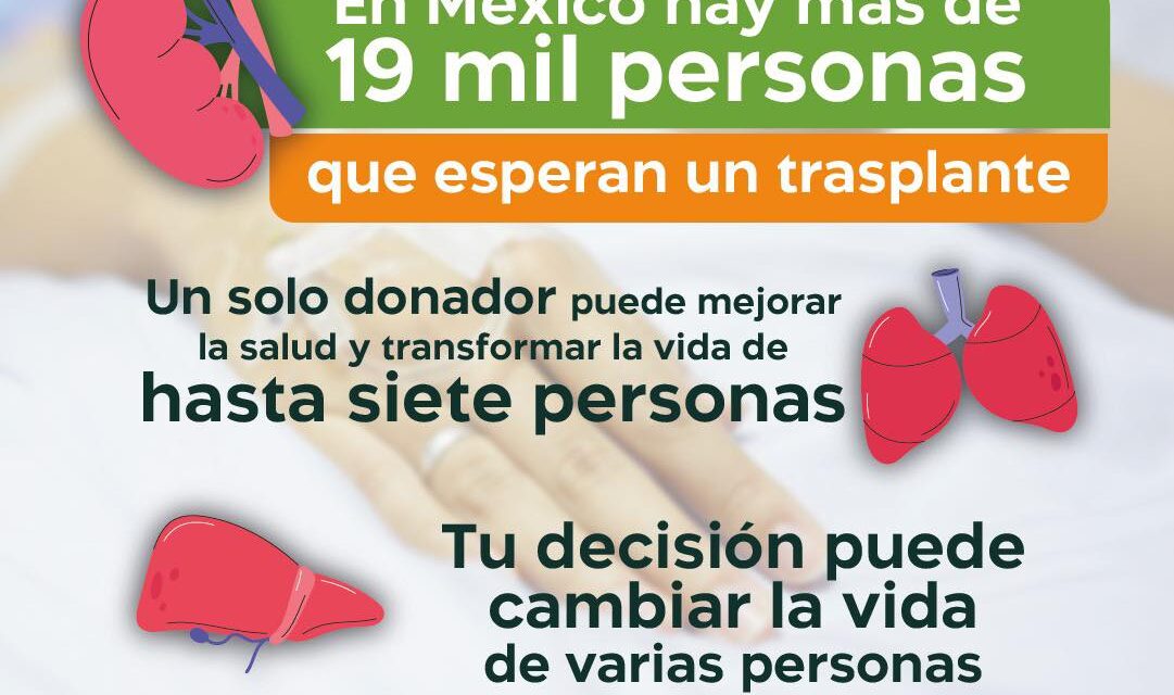 DONAR ÓRGANOS ES DONAR VIDA: UN ACTO QUE PUEDE SALVAR HASTA 7 PERSONAS