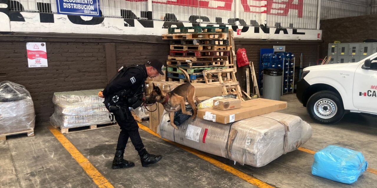 REFUERZAN SEGURIDAD EN TEPIC CON OPERATIVO BOI E INSPECCIONES EN PAQUETERÍAS