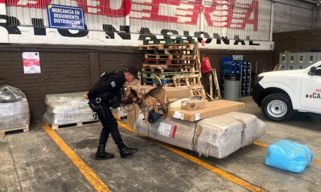 REFUERZAN SEGURIDAD EN TEPIC CON OPERATIVO BOI E INSPECCIONES EN PAQUETERÍAS