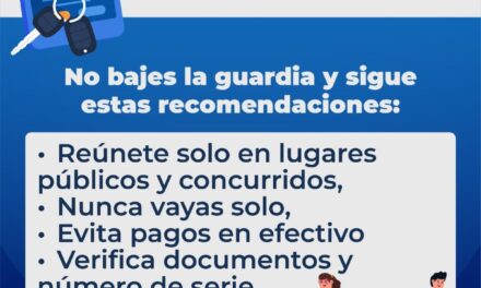 ALERTA AL COMPRAR O VENDER AUTOS EN REDES: EVITA SER VÍCTIMA DE FRAUDE