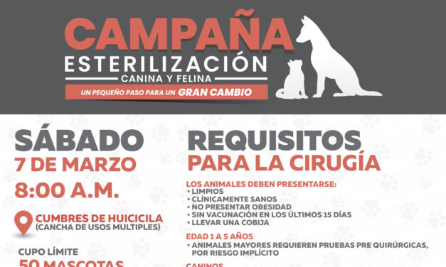 ¡CAMPAÑA DE ESTERILIZACIÓN CANINA Y FELINA EN CUMBRES DE HUICICILA!