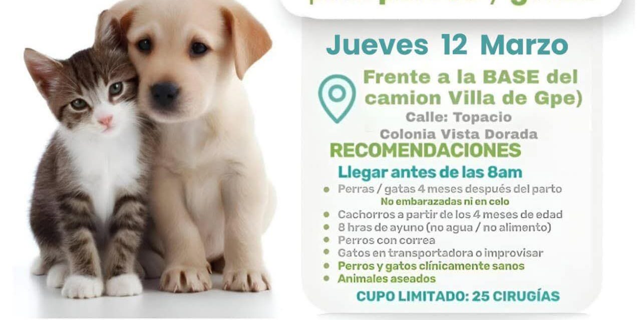 ¡ATENCIÓN! PRÓXIMA JORNADA DE ESTERILIZACIÓN GRATUITA PARA PERROS Y GATOS