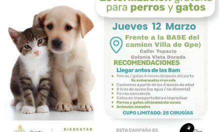 ¡ATENCIÓN! PRÓXIMA JORNADA DE ESTERILIZACIÓN GRATUITA PARA PERROS Y GATOS