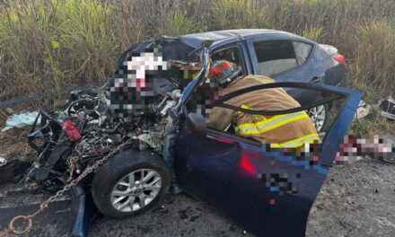 ¡FATAL ACCIDENTE EN LA CARRETERA FEDERAL 15 TEPIC–GUADALAJARA!