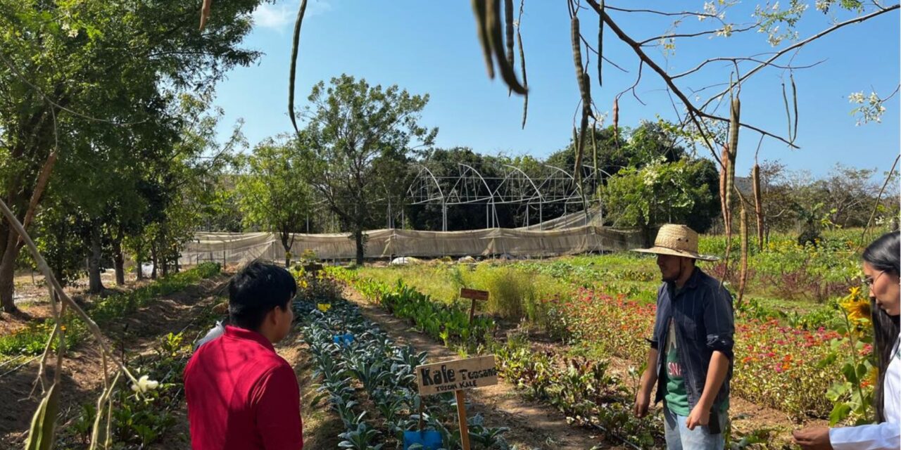 ESTUDIANTES DE LA UTM VIVEN EXPERIENCIA SUSTENTABLE EN TAO DE JADE EN COMPOSTELA