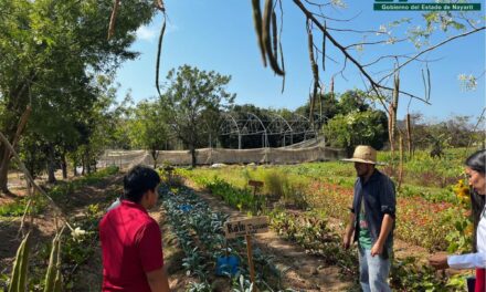 ESTUDIANTES DE LA UTM VIVEN EXPERIENCIA SUSTENTABLE EN TAO DE JADE EN COMPOSTELA