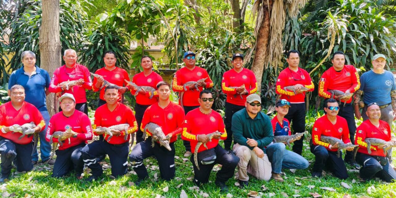 CAPACITAN A RESCATISTAS EN MANEJO DE COCODRILOS PARA FORTALECER LA SEGURIDAD Y CONSERVACIÓN
