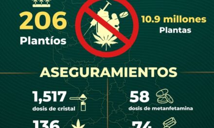 🛡️🚨 Refuerza Gobierno de Nayarit Operativos para Proteger la Tranquilidad de las Familias