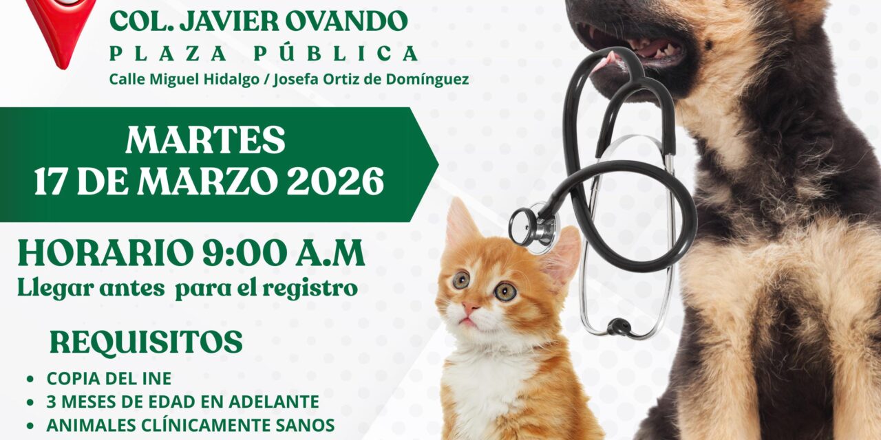 Invitan a jornada gratuita de esterilización en Bucerías