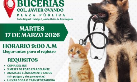 Invitan a jornada gratuita de esterilización en Bucerías