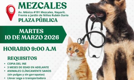 Gobierno de Bahía de Banderas invita a jornada gratuita de esterilización