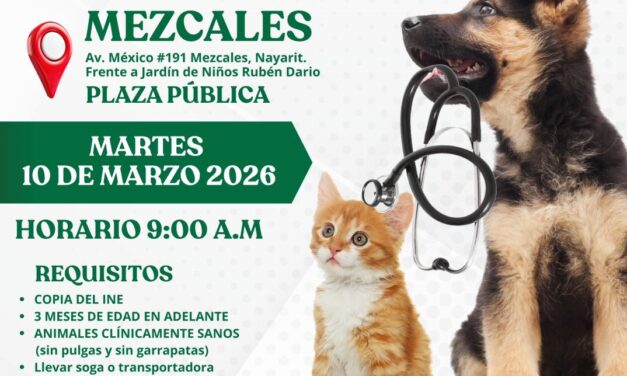 Gobierno de Bahía de Banderas invita a jornada gratuita de esterilización