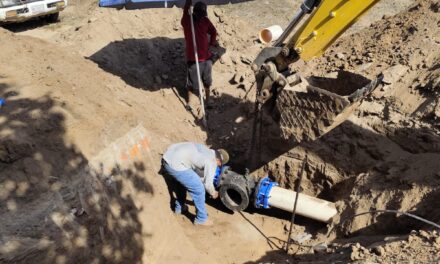 Mejora histórica en la calidad del agua en Bahía de Banderas