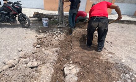 FINALIZAN TRABAJOS EN RED DE AGUA EN CALLE OAXACA