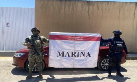 Nayarit refuerza coordinación en seguridad y reporta avances operativos