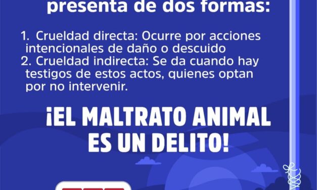 ¡ALTO AL MALTRATO ANIMAL! RESPETO Y PROTECCIÓN PARA TODOS