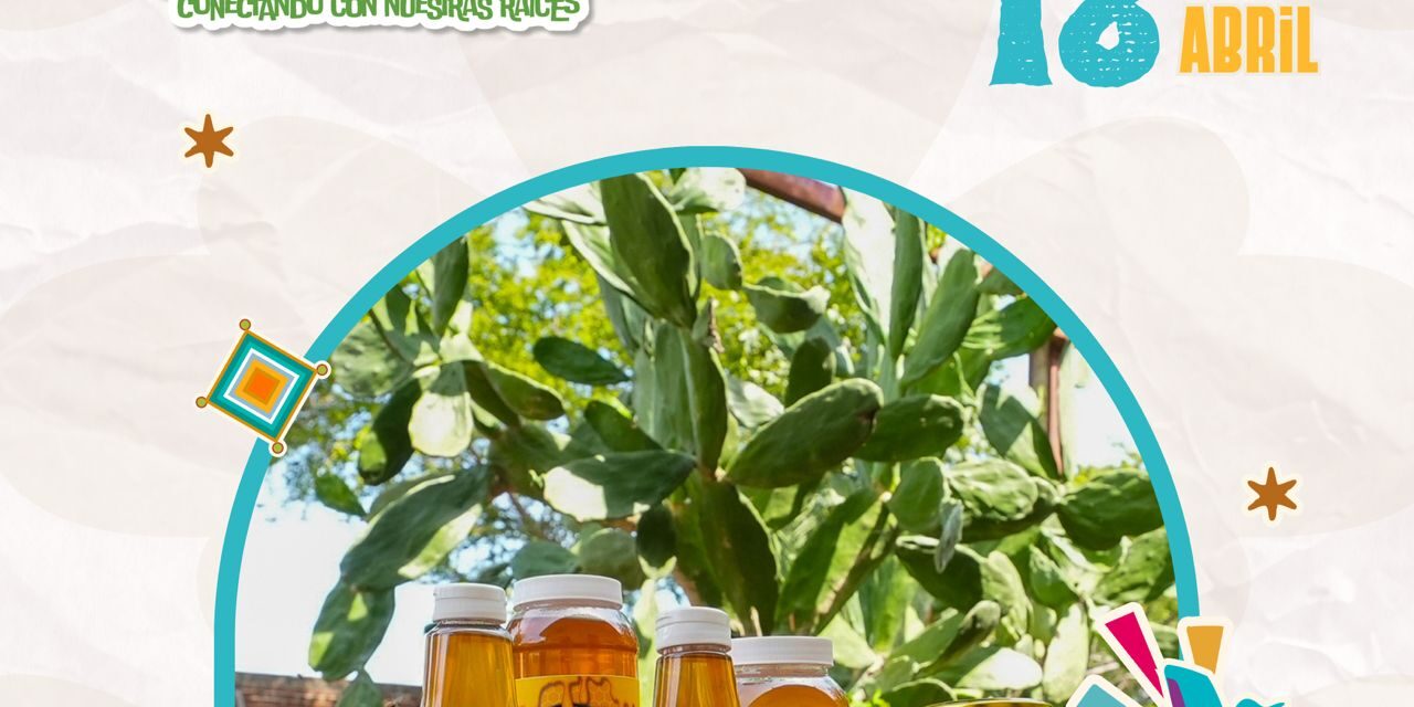 ¡APRENDE Y DISFRUTA LOS SABORES DE NAYARIT EN TALLERES ÚNICOS!