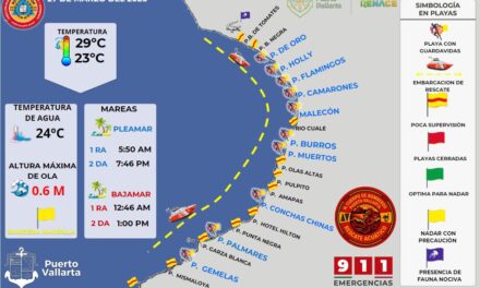 INFÓRMATE ANTES DE ENTRAR AL MAR: ALERTAN SOBRE CONDICIONES EN PLAYAS